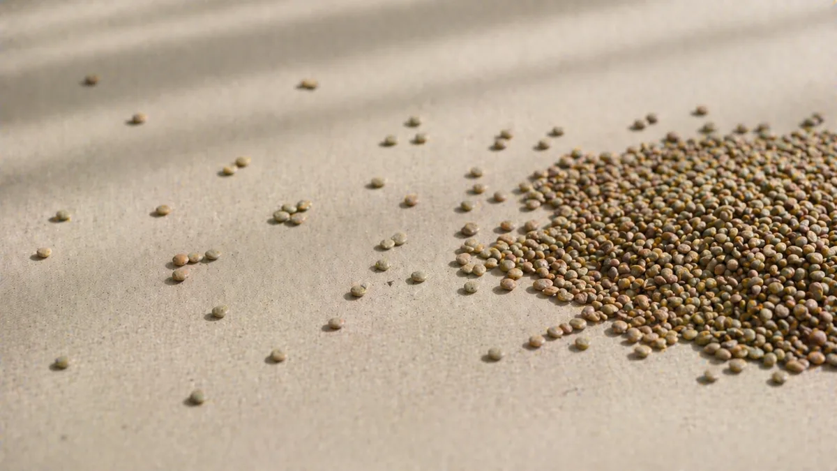 Small seeds drifting toward one side of a surface